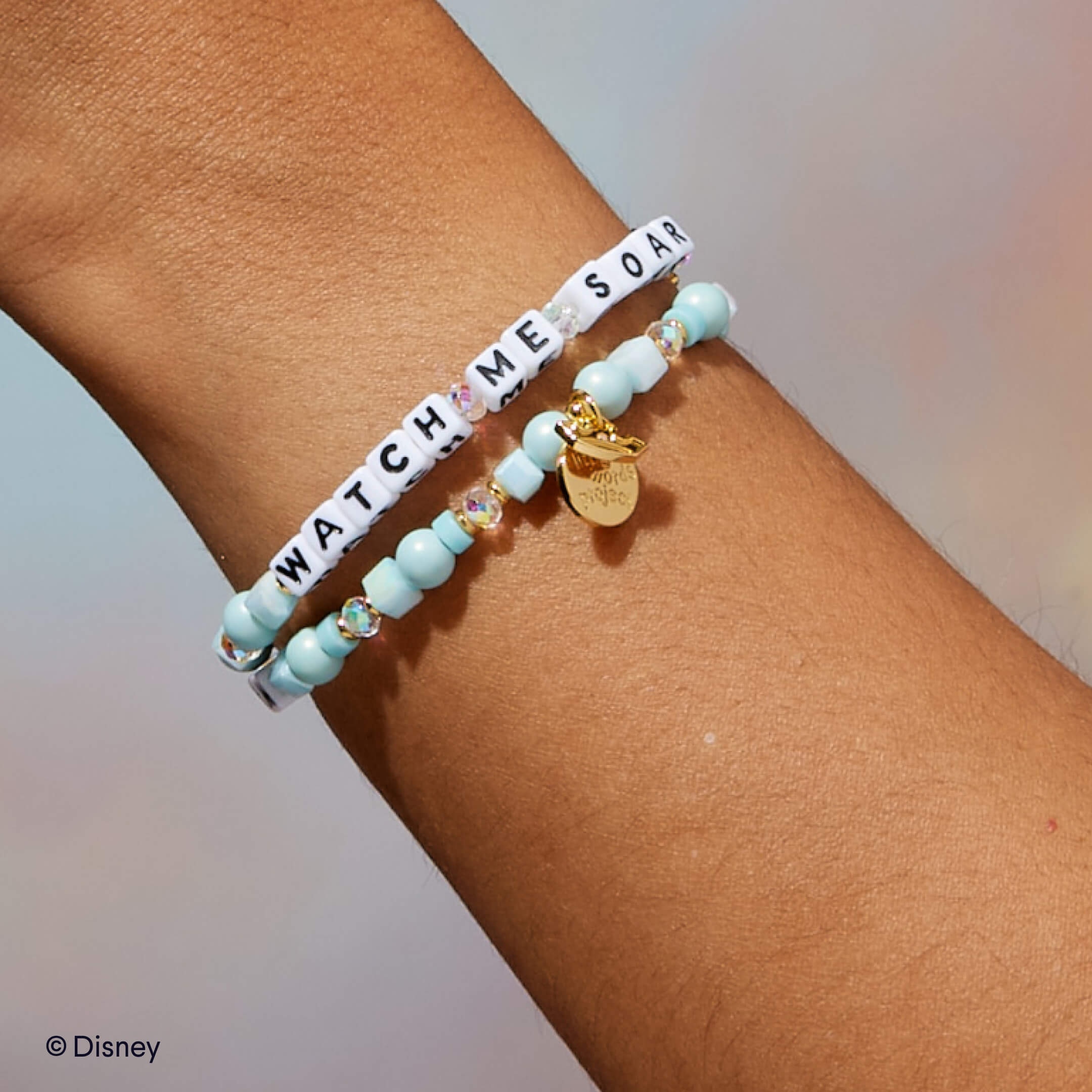Watch Me Soar- Disney Princess