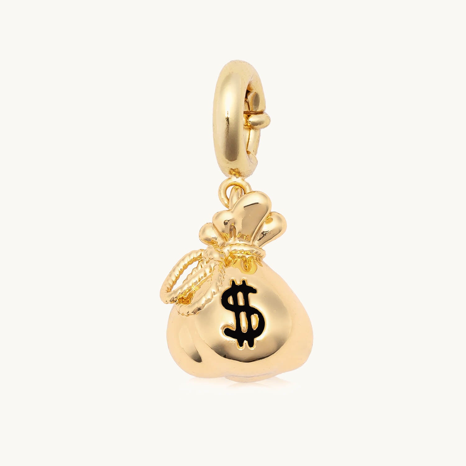 Money Bag Charm