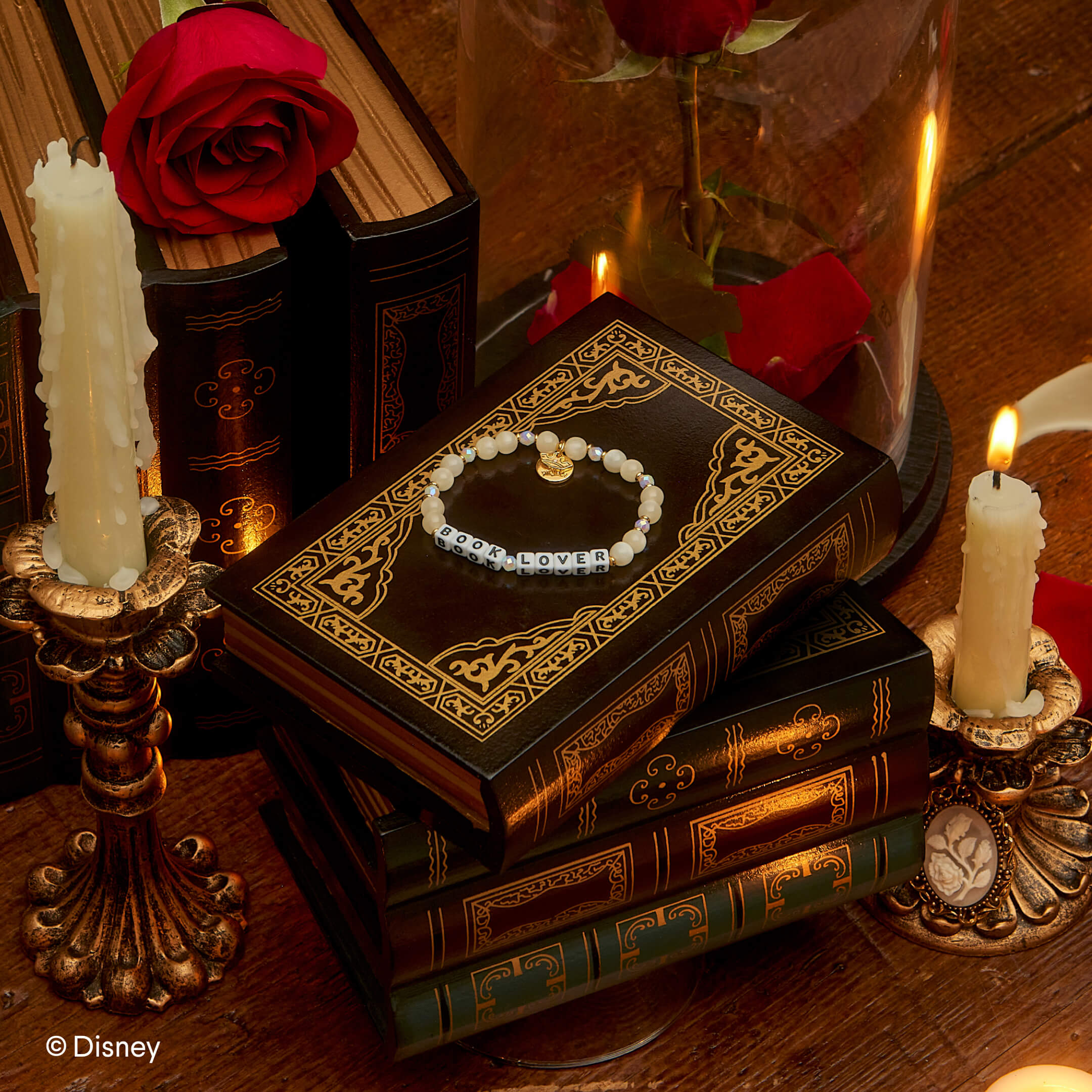 Book Lover- Disney Princess