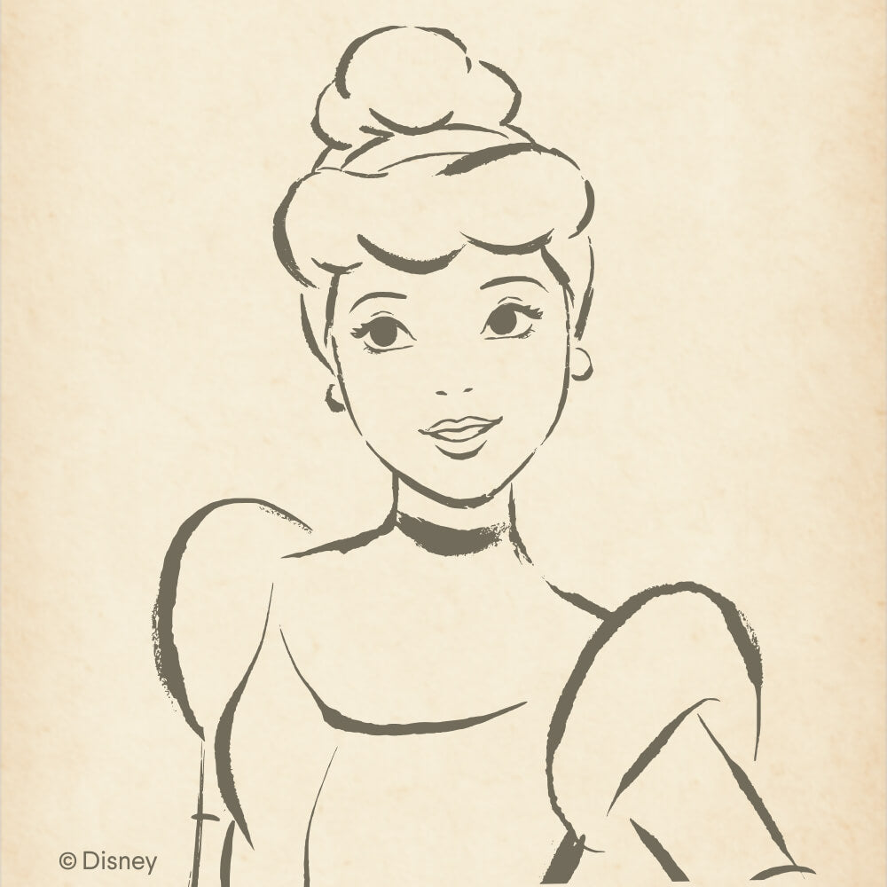 Princess Cinderella