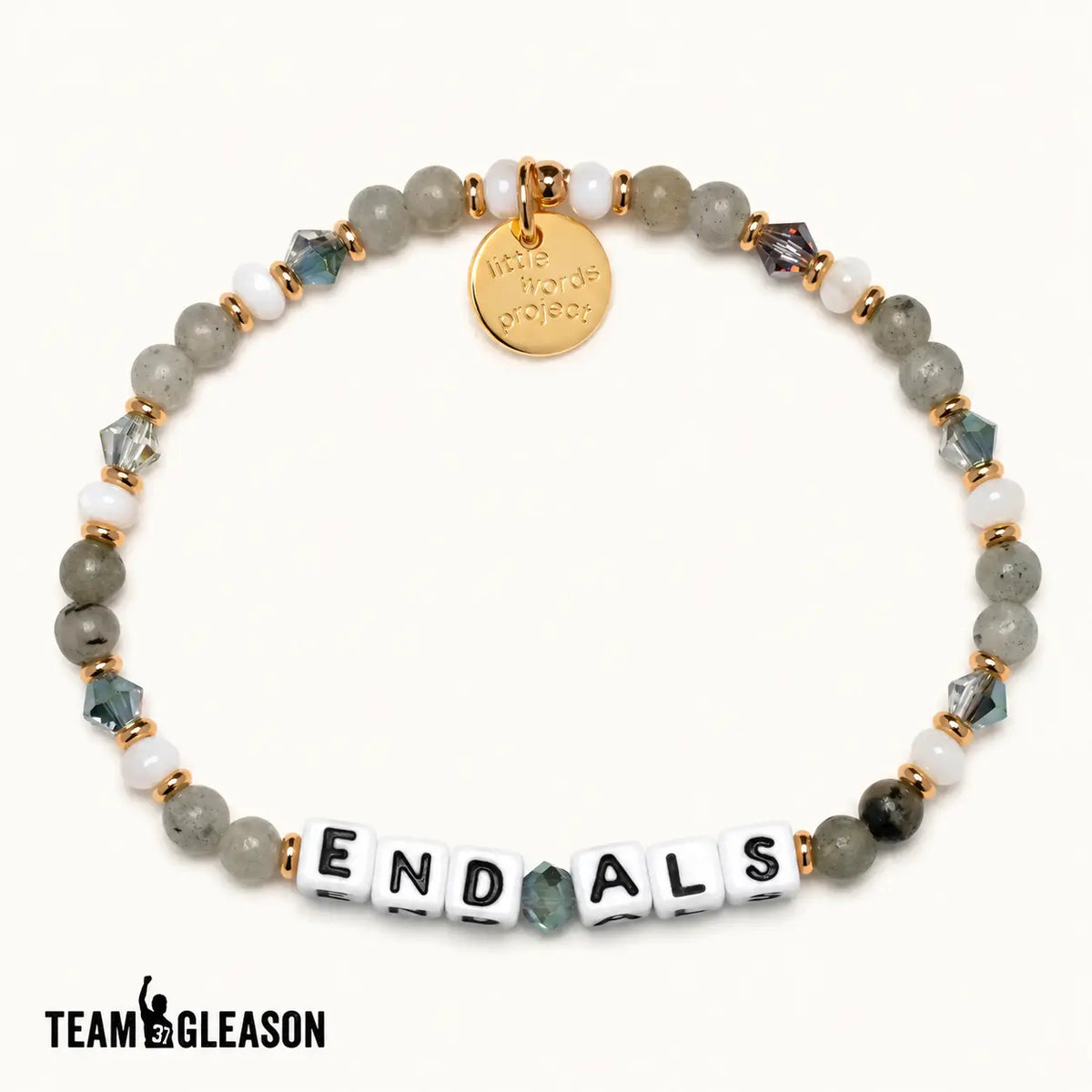 End ALS- ALS Support & Research