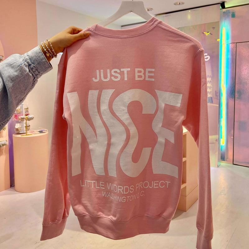 Just Be Nice Washington DC Crew